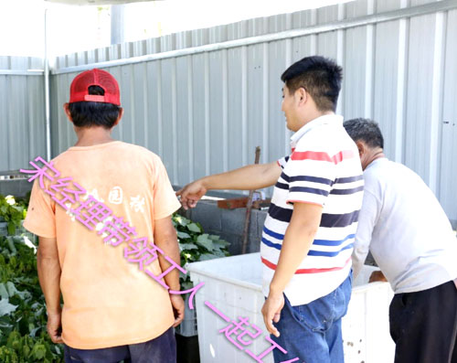 夏日來臨，當你吹空調喊熱的時候，讓我?guī)阋黄鹱哌M東楓園林體驗一下東楓人高溫下工作不一樣的夏日風采